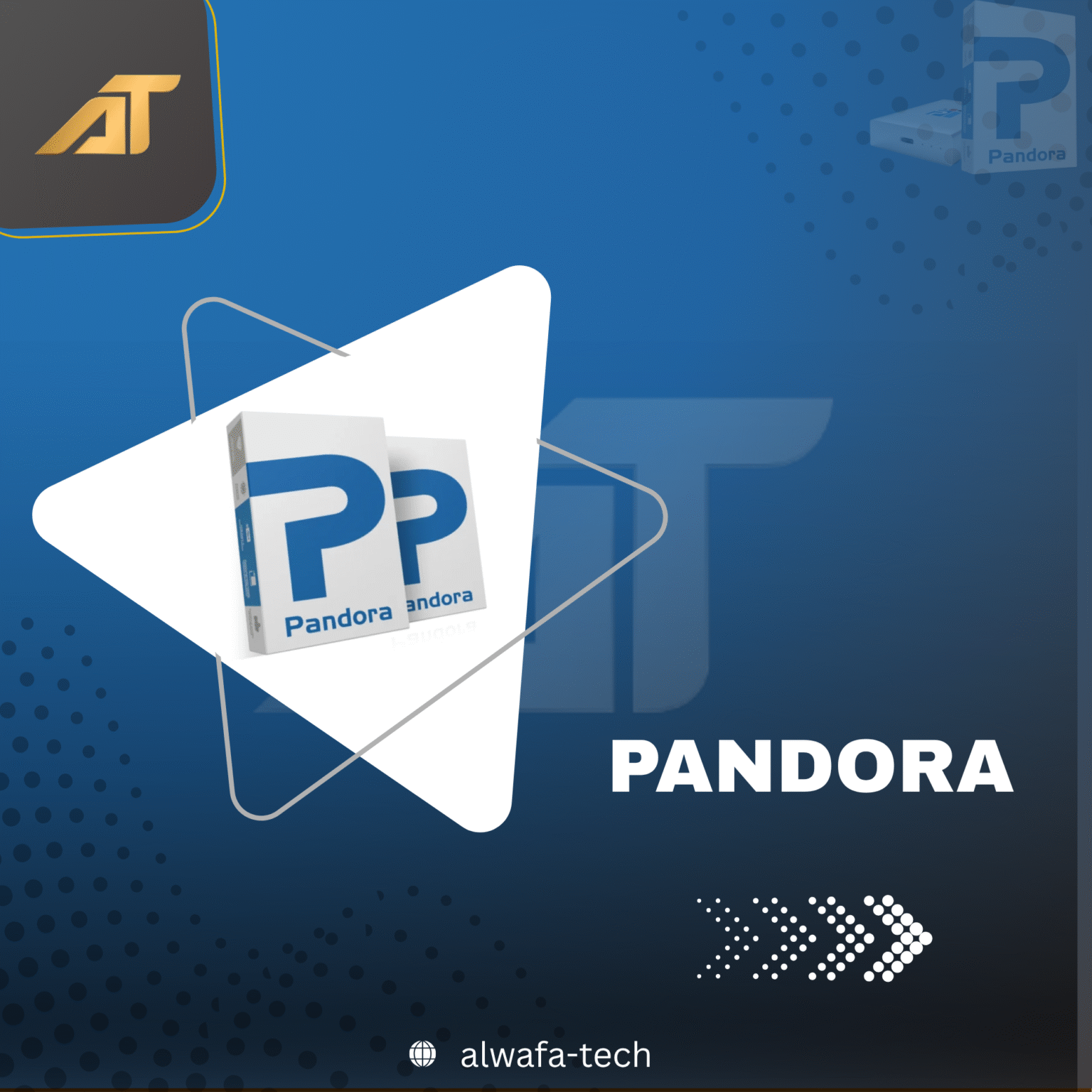 Pandora _20250812_010443_0000