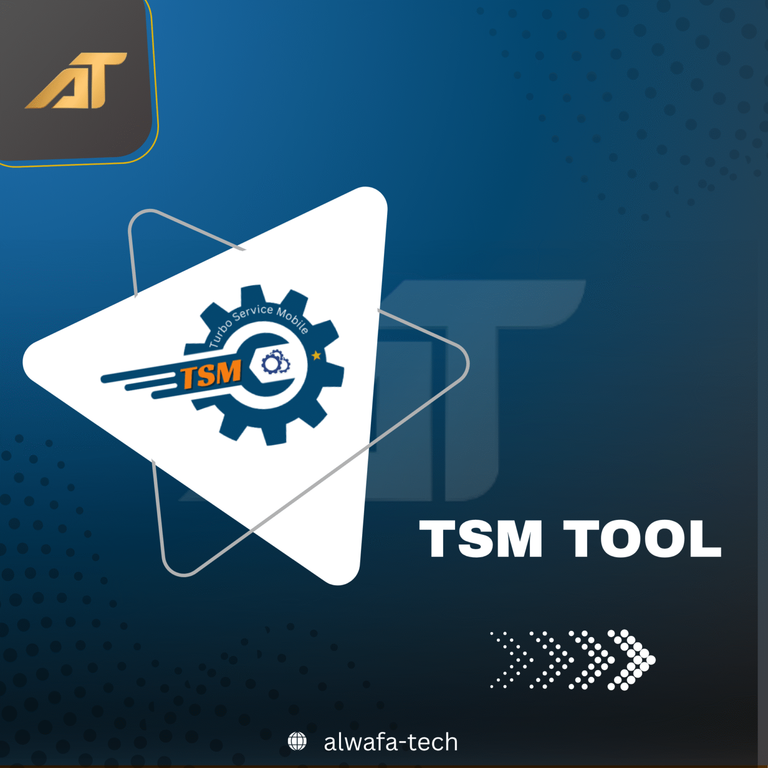 TSM TOOL_20250812_010010_0000